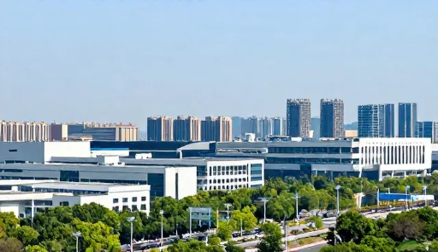 IT运维服务在技术合作中的适用条件及选择依据